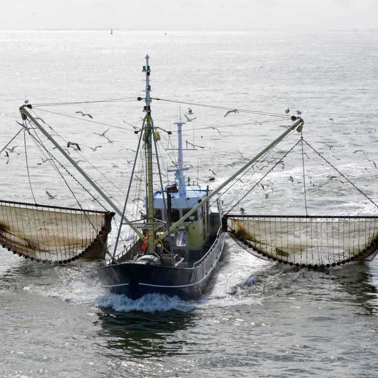 vissersboot