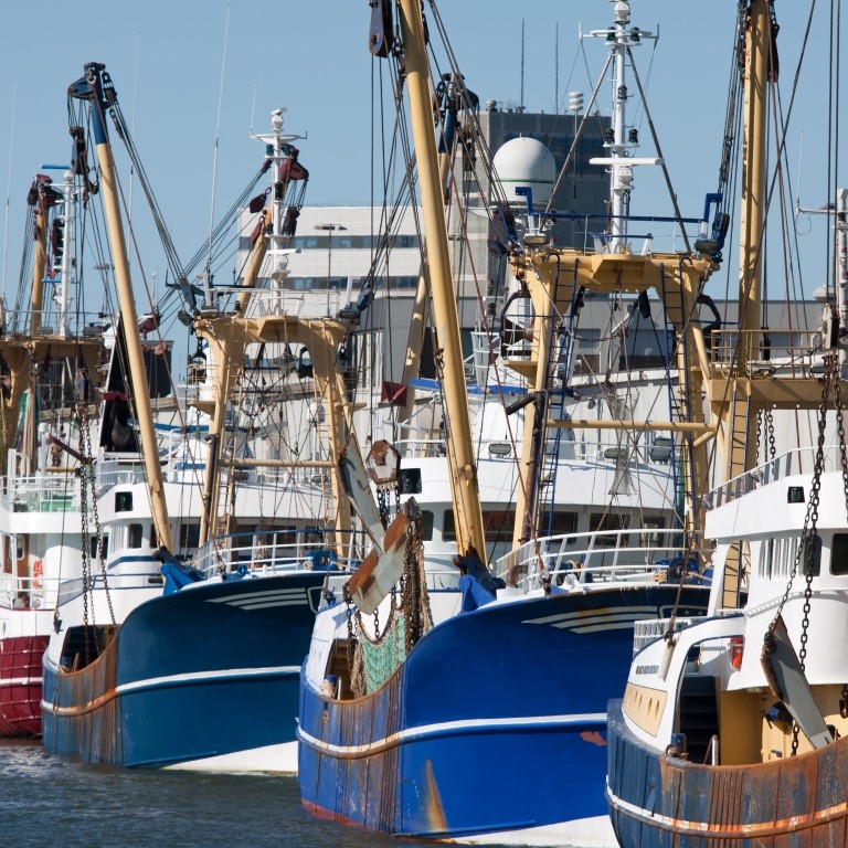 vissersboten haven