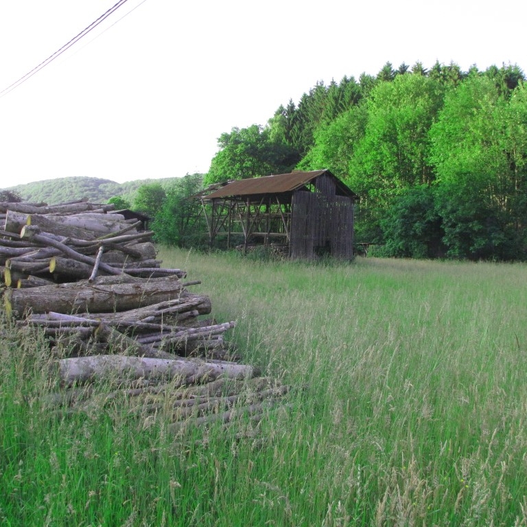 houtstapel Ardennen