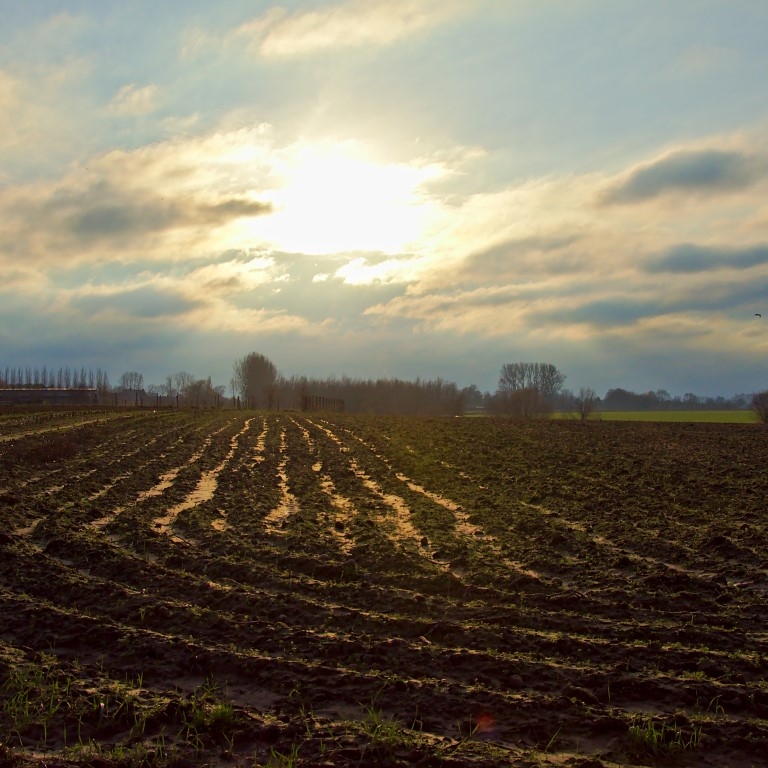 landbouwgrond bewerkt