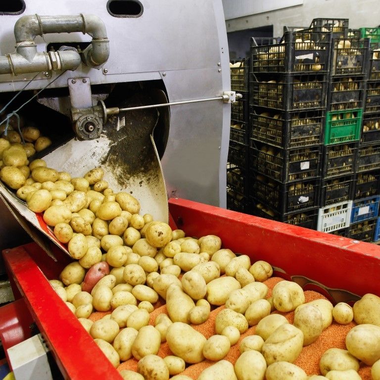aardappelen consumptie