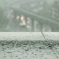 Regen
