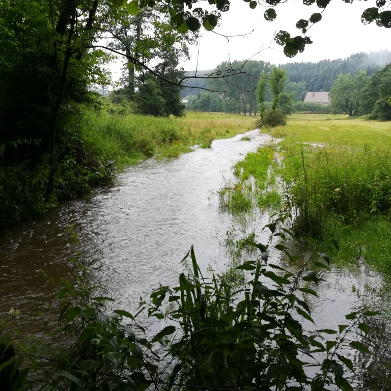 rivier landschap