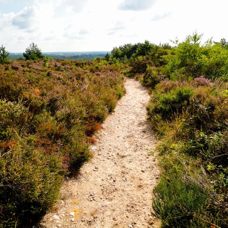 natuurpark heide