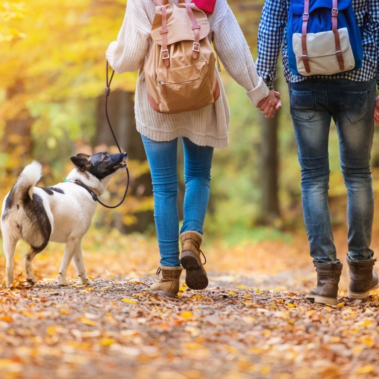 wandelen koppel hond