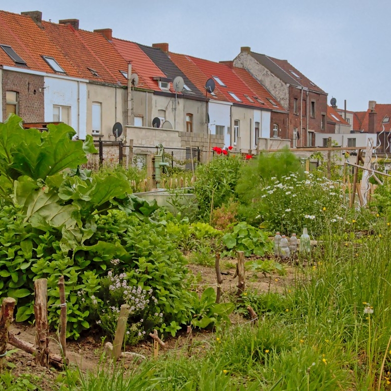 perceel tuin woningen