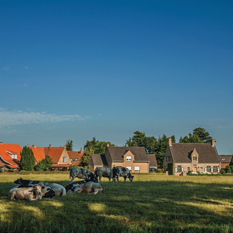 landschap huizen achtergrond