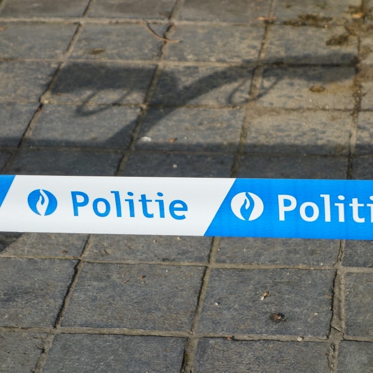 politielint