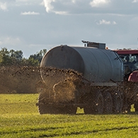 Tractor met mest